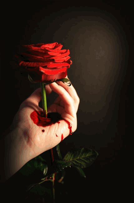 Imagem Movimento Flor Chorando